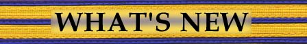 What's New banner